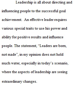 Management Assignment 2 Leadership